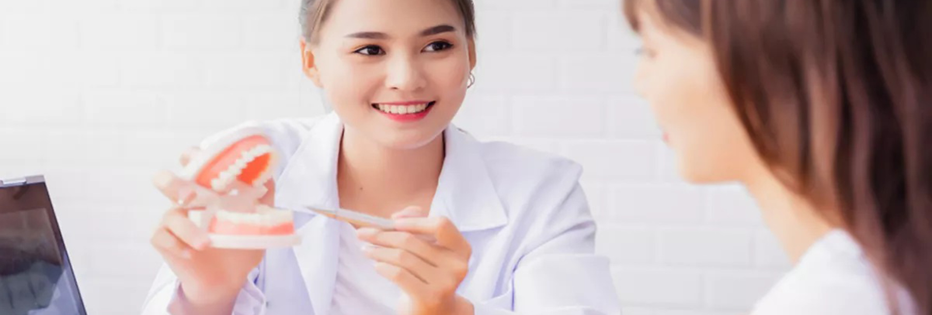 Công ty TNHH Vật liệu - Trang thiết bị T&T